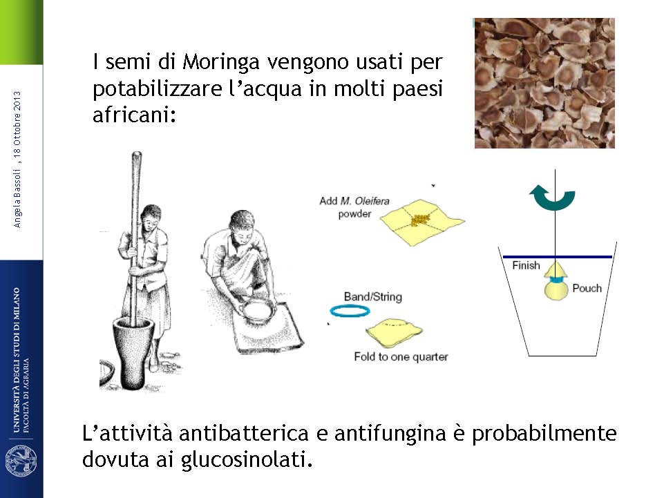AB18ott14_Page_26.jpg