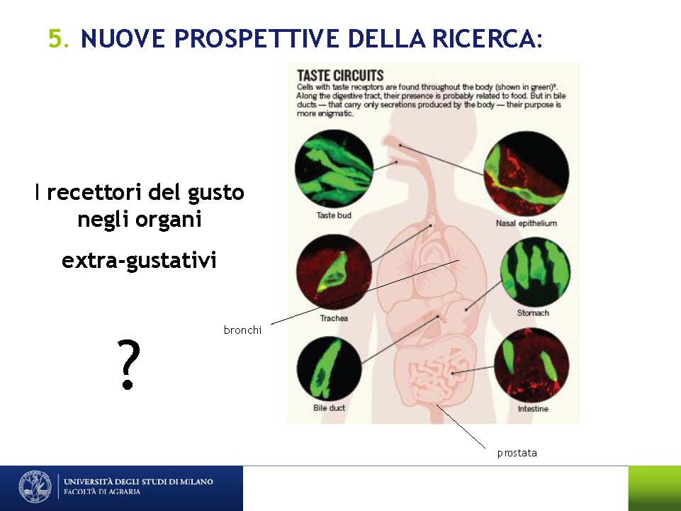 AB18ott14_Page_28.jpg